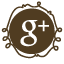 Add to Google Circles
