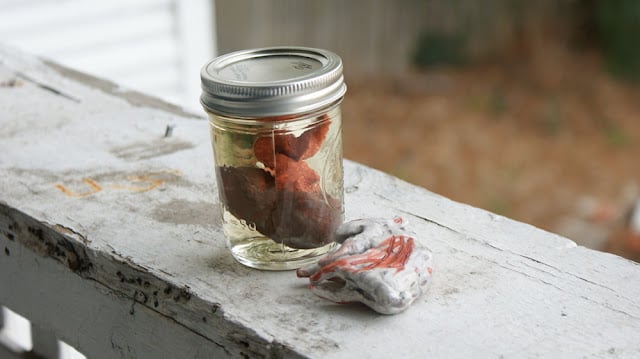 Some body parts in jars for the spooky season : r/sticker