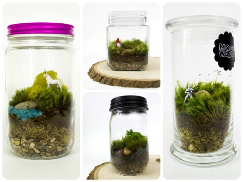 DIY Found Moss Terrarium Idle Hands Awake