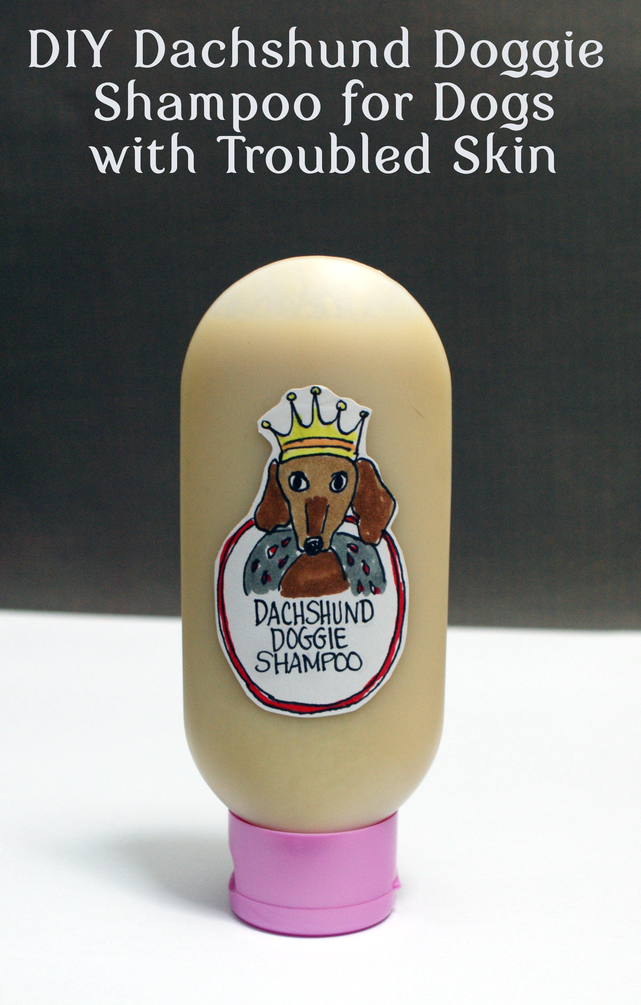 homemade dog shampoo