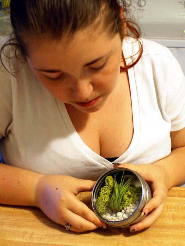 DIY Terrarium for Your Air Plants (An Easy Refrigerator