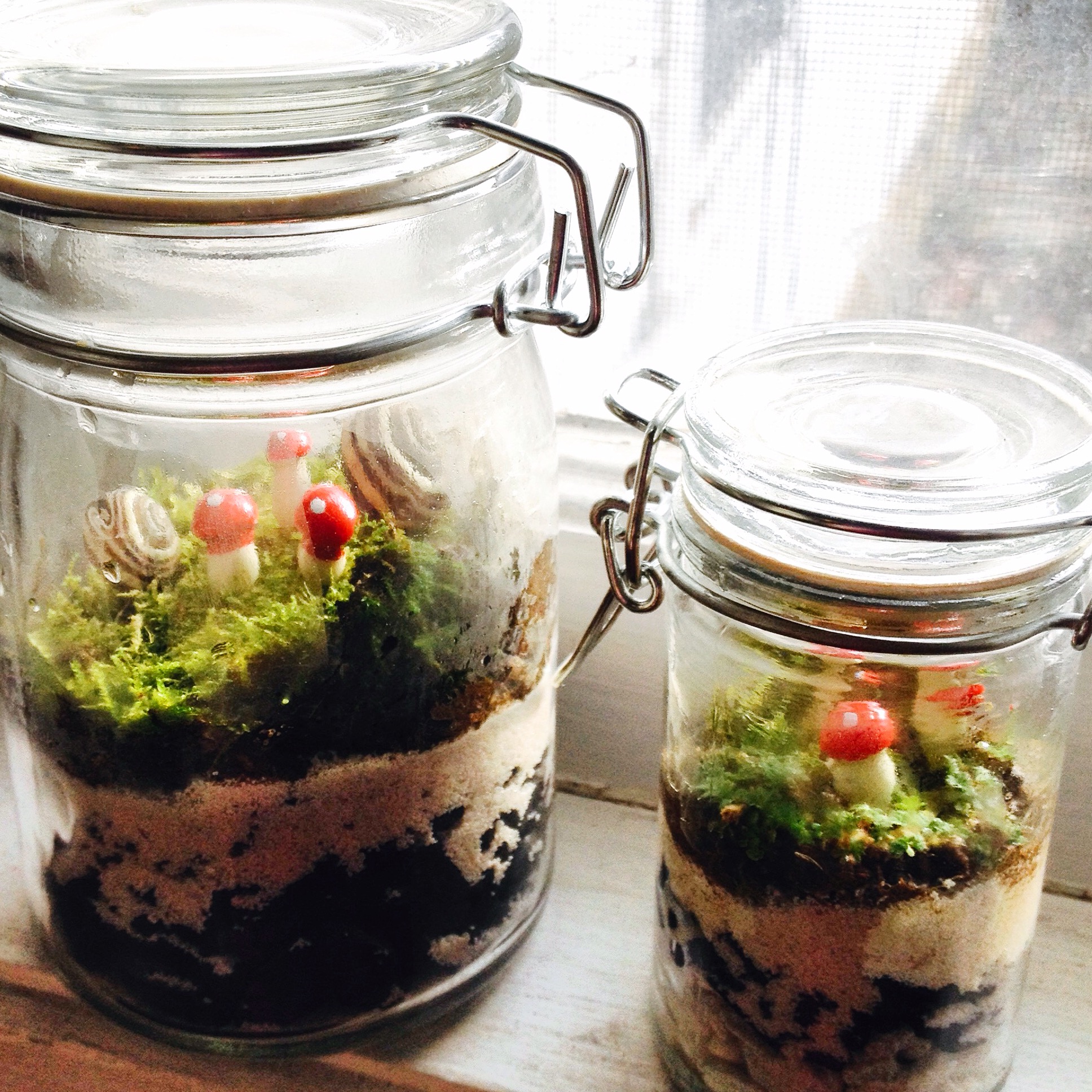 Make your own DIY terrarium