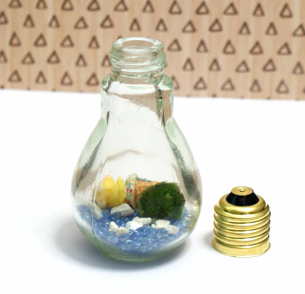 Easy DIY Light Bulb Aquarium