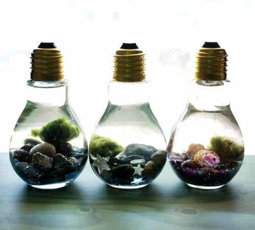 aquarium bulb