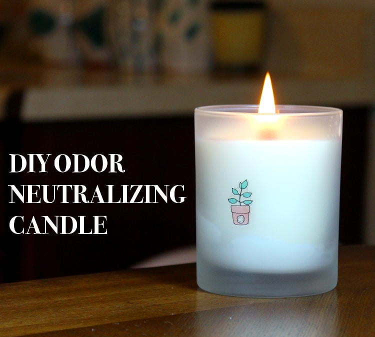 Odor Neutralizing Candle DIY Create Custom Scented Candles