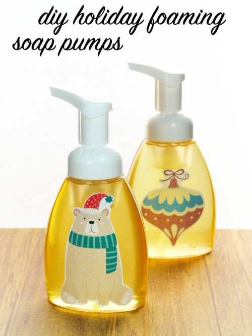 Holiday Foaming Hand Soap DIY Soap Deli News