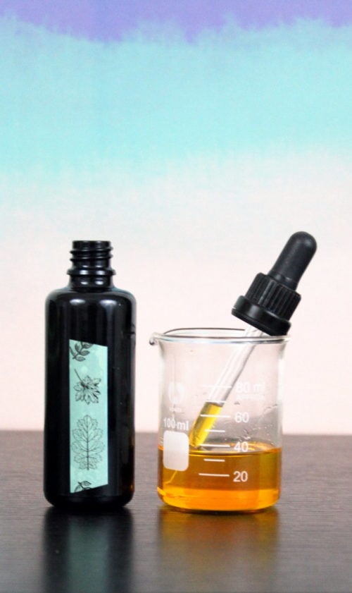 AntiAging Rosehip Face Serum Recipe Soap Deli News