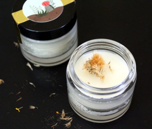Natural pain remedy. How to utilize the benefits of ginger essential oil to craft a natural pain relief salve for sore muscles. Discover all the ginger oil benefits plus try a number of homemade skin care recipes that you can make with ginger essential oil for natural skin care and beauty.