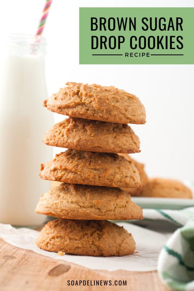 Easy Brown Sugar Drop Cookies Recipe (A Delicious Anytime Treat!)