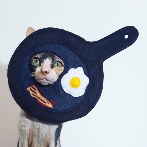 Gift Guides for Pet Lovers: Whether your gift recipient loves dogs, cats, birds -- whatever, these gift ideas for pet lovers are sure to please even the most particular pet owners. Like this Breakfast Pan Egg and Bacon Cat Costume Hat for Small Dogs & Cats via Ticketybootique on Etsy. Out of the fire and into the frying pan! This silly hat will give you some belly laughs for a funny photoshoot or a hilarious gift for the pet lovers in your life.