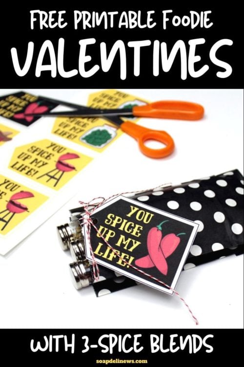 Diy Valentine S Day Gifts For Him With Printable Valentines For Foodies