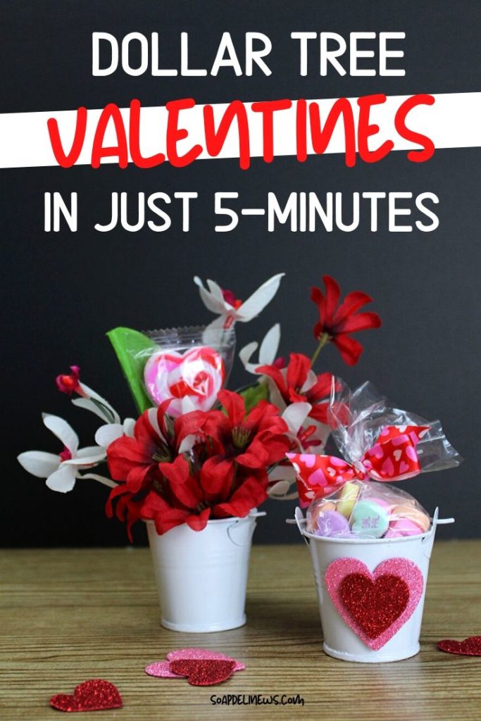 Dollar Tree Valentines for Gifts, Party Favors and BFF's - Soap Deli News