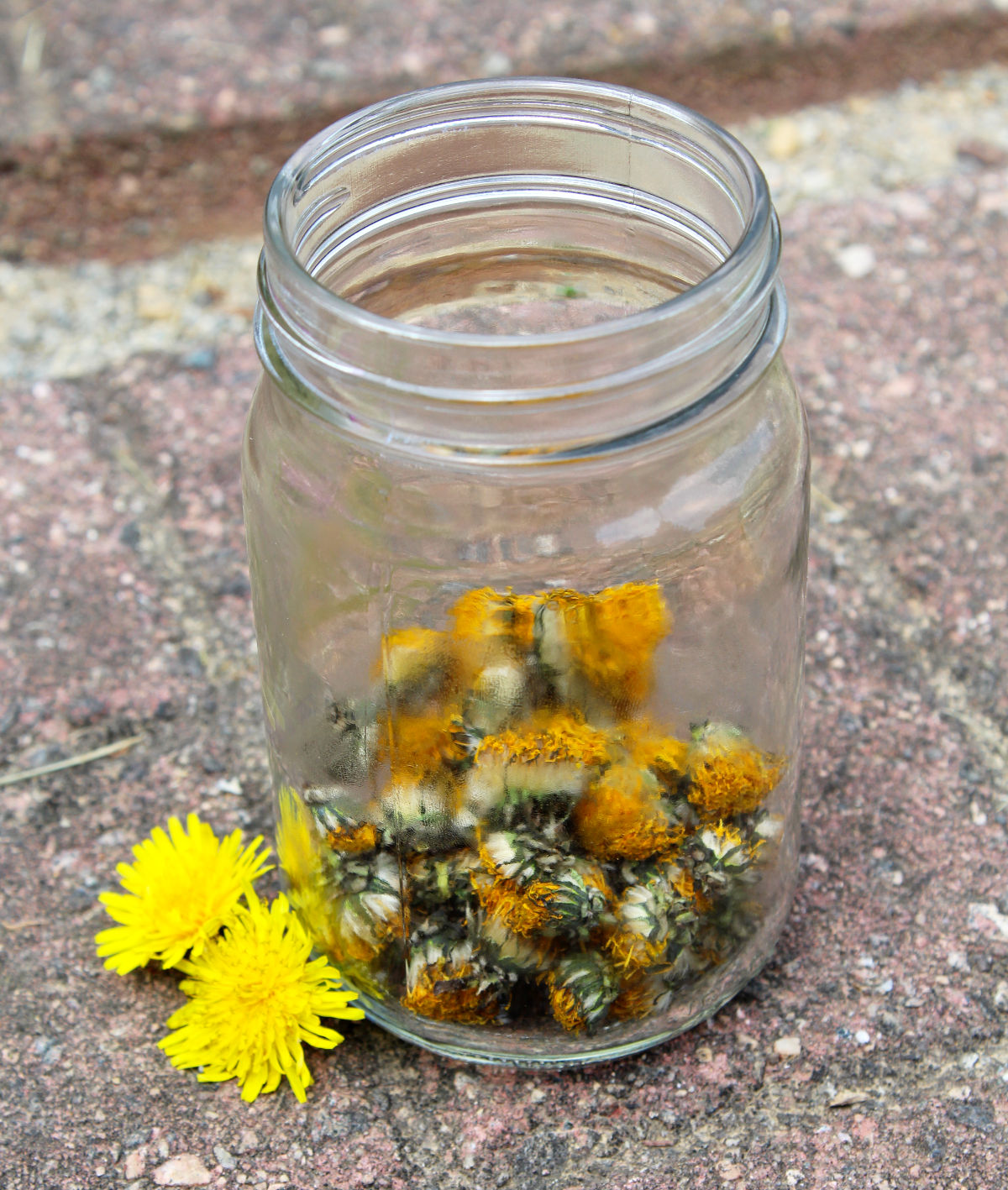 Dandelion Cleansing Balm Recipe Easy Natural Clean Beauty Recipe