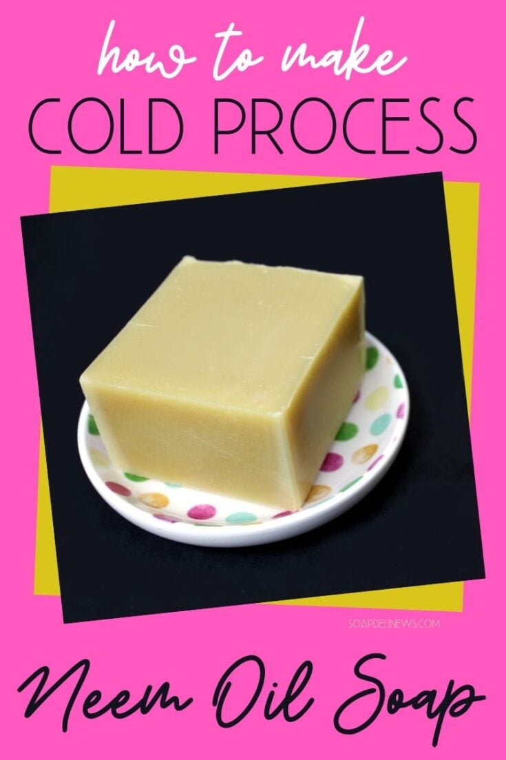 Neem Oil Soap Recipe Cold Process Soap Recipe for Problem Skin