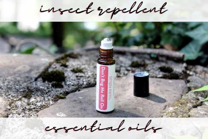 Insect Repellent Essential Oil Blend Recipe for Repelling Mosquitoes. Discover two simple essential oils you can use to create an insect repellent essential oil blend for a roller blend or an insect repellent essential oil spray on insect repellent. Plus a brief overview of essential oil safety and what to realistically expect when using essential oils as an insect repellent to naturally repel mosquitoes. Learn more about essential oils and find other essential ideas for healthy living.