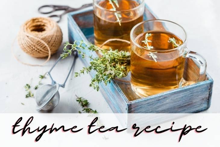 Thyme tea recipe. Learn about thyme tea benefits and how to make thyme tea for cough and congestion. Natural allergy and cold and flu relief are just some of thyme tea benefits. However these herbal thyme tea recipes can also aid with inflammation, high blood pressure, and viral cold and flu relief. A natural home remedy for congestion and cough, thyme tea is easy to make and has many natural health and wellness benefits. Recipes for hot thyme tea, cold brew thyme tea and mullein and thyme tea.