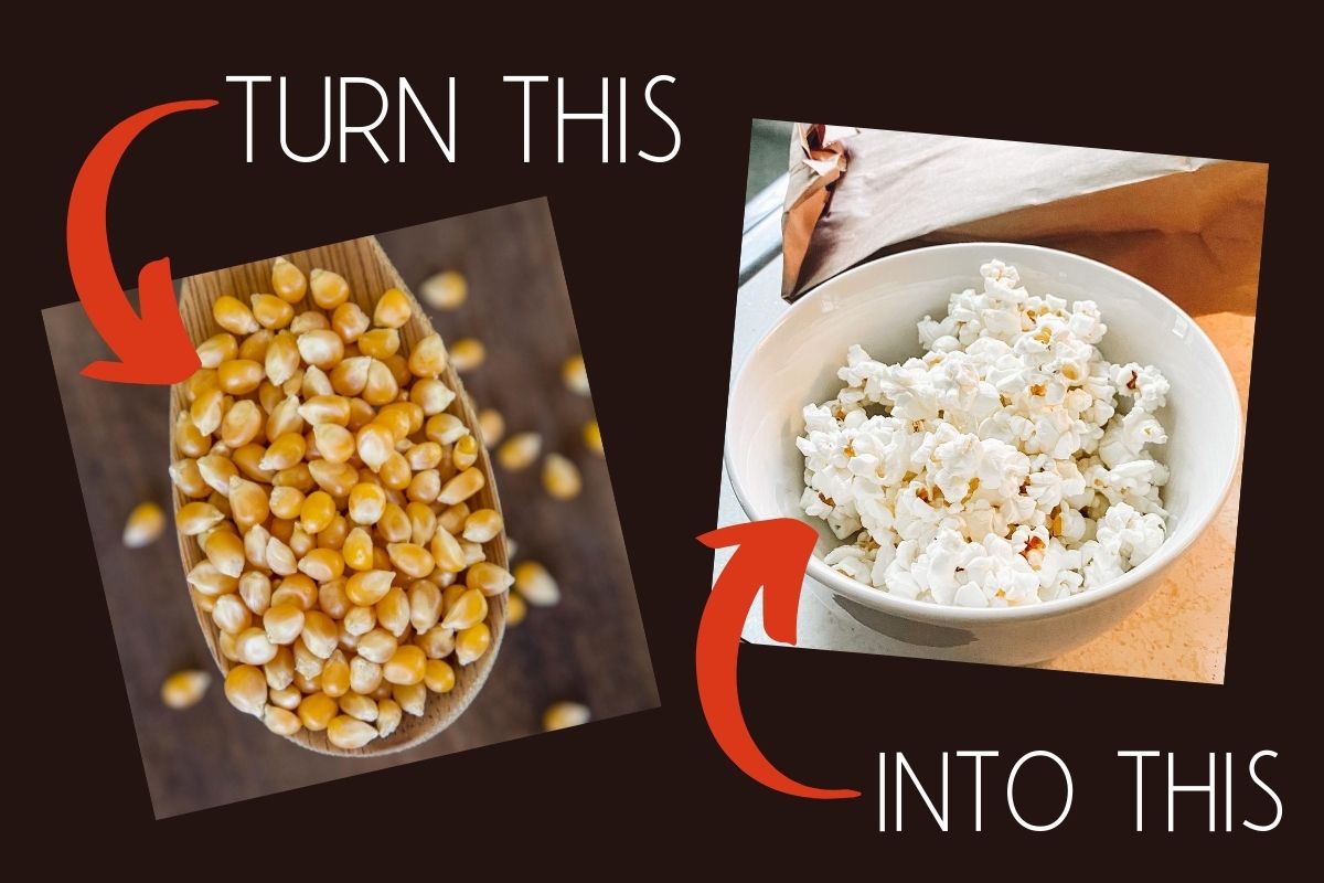 Popcorn Hack The Frugal Healthy Way to Make Popcorn in a Paper Bag