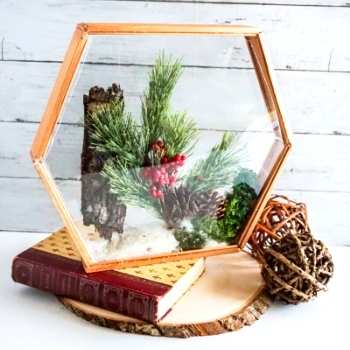 DIY Suncatcher Terrarium