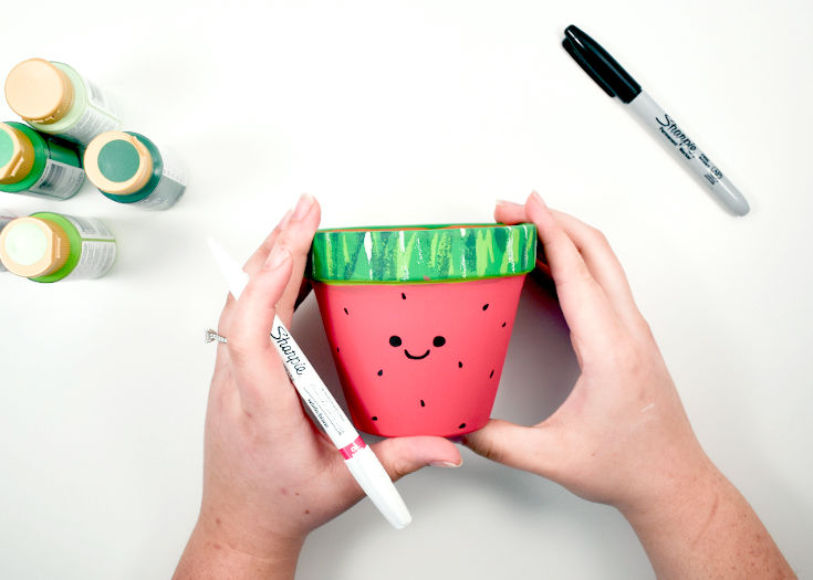 watermelon design painted terracotta pots planter ideas