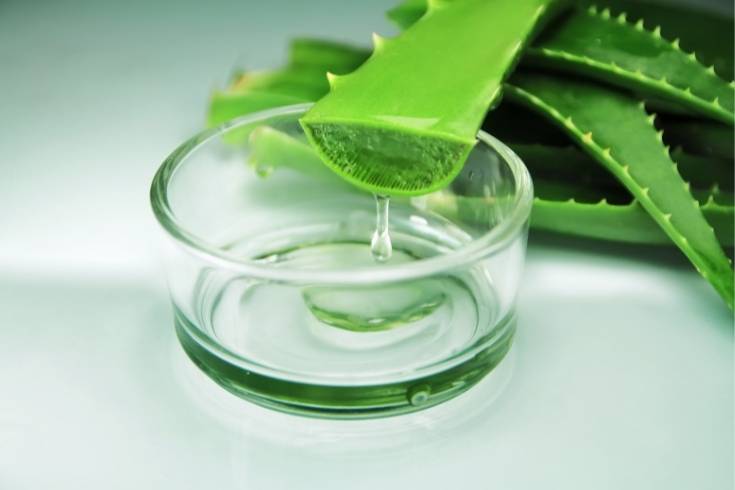 types of aloe used in skin care products