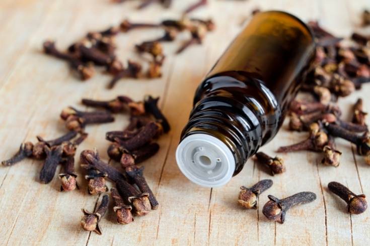 12 Spiced Clove Essential Oil Blends