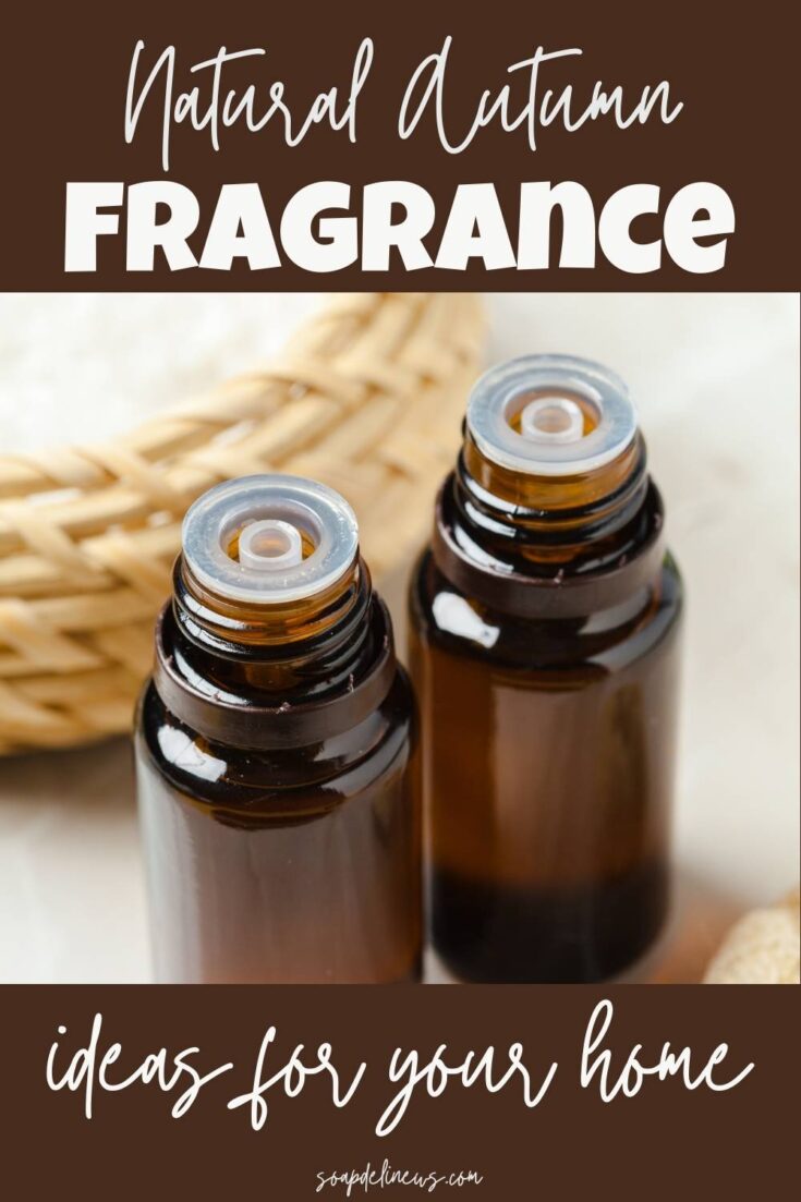 Fall Essential Oil Diffuser Blends Plus Other Natural Home Scents