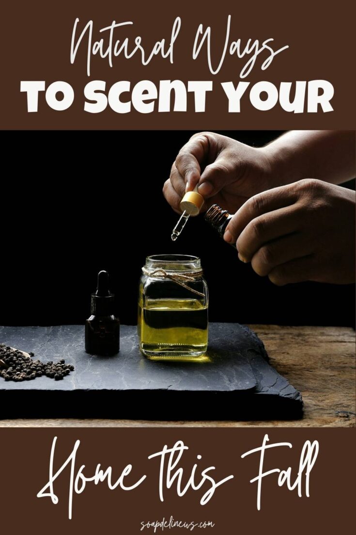 Fall Essential Oil Diffuser Blends Plus Other Natural Home Scents